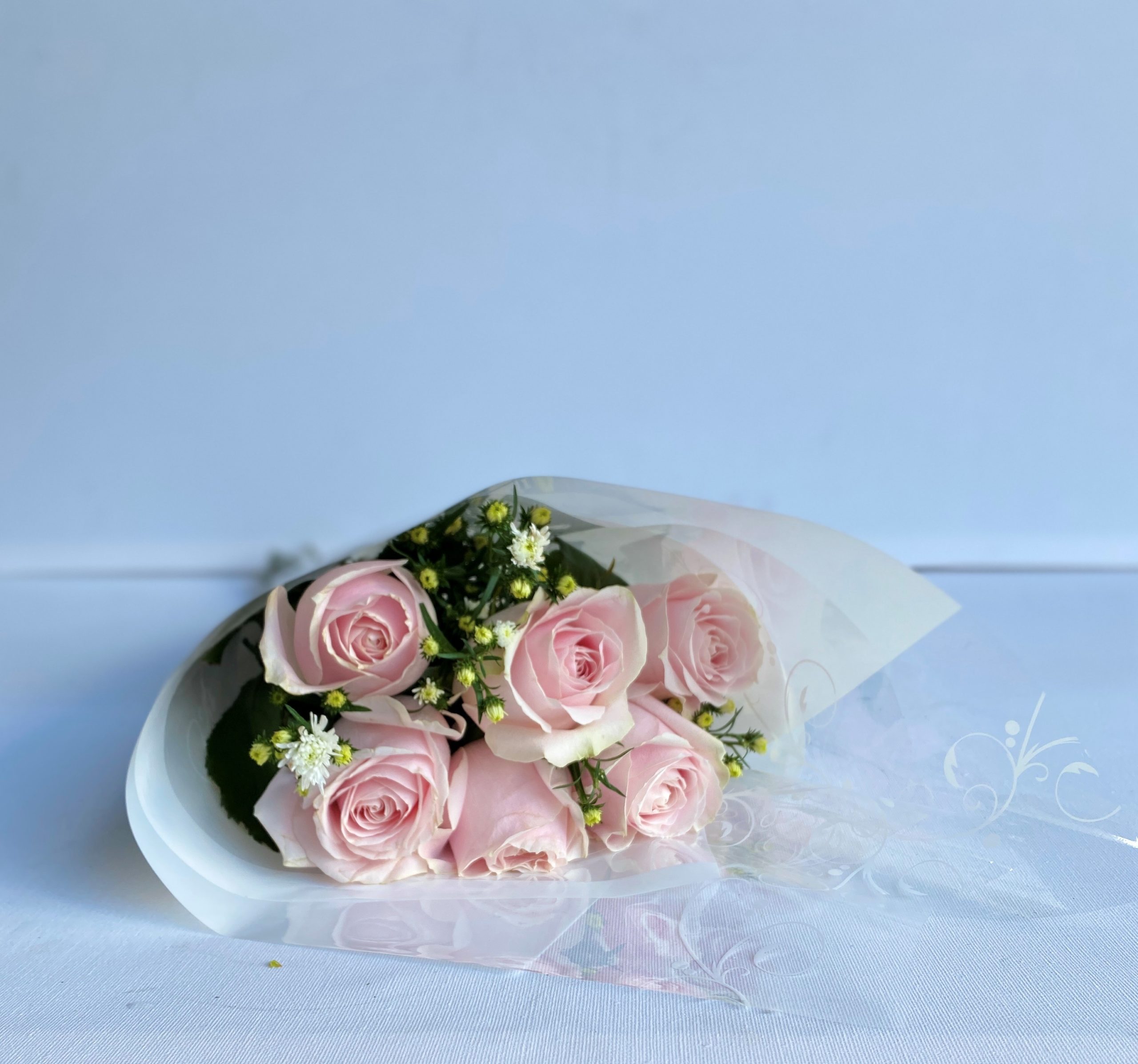 Puppy Love - 6 Pink Roses in a Bunch