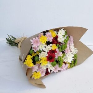 Miss Daisy - Mix color Daisies in a Bunch